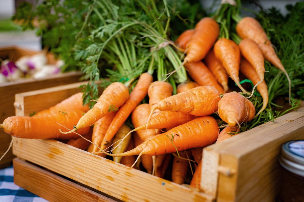 Bunched Carrots