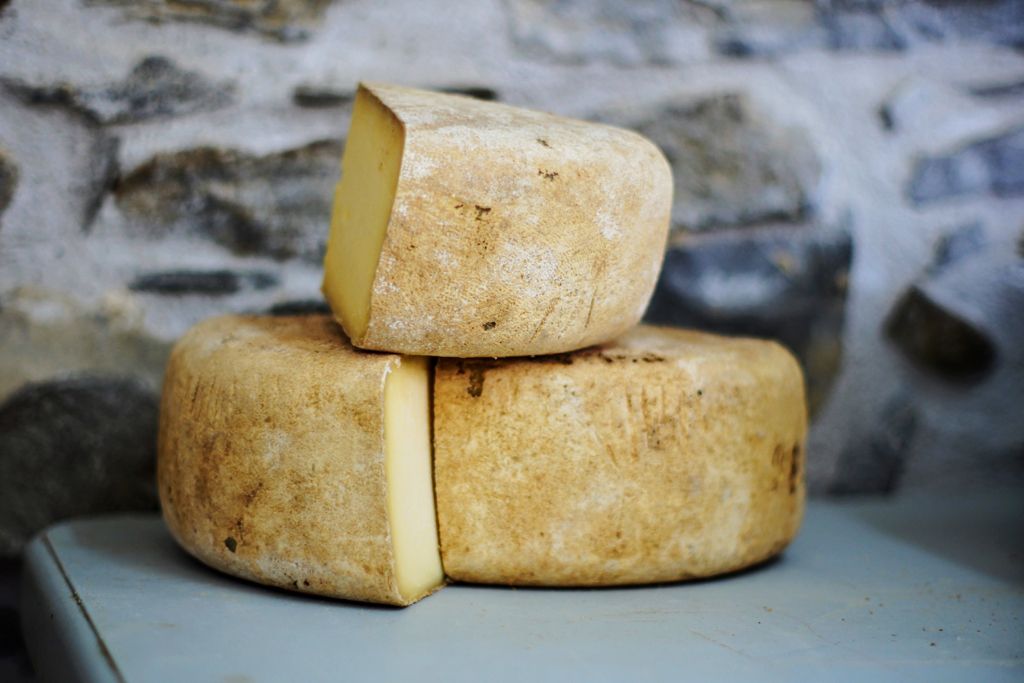 Red Cow Cheese