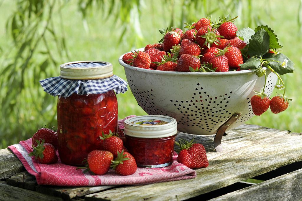 Jam Season - Fruit Jams