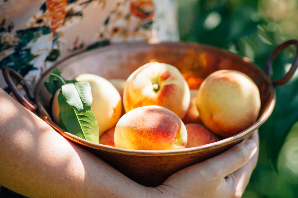 Peaches